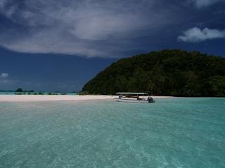 パラオダイビングツアー　番外編　さかな君
