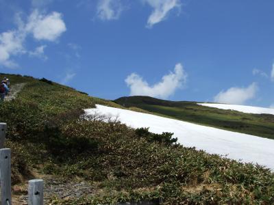 緑(雪も)あふれる平標~山開き登山