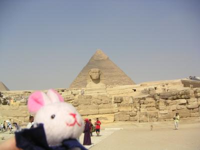 Cairo 兎忠、ピラミッドとスフィンクスに会う（夏） 