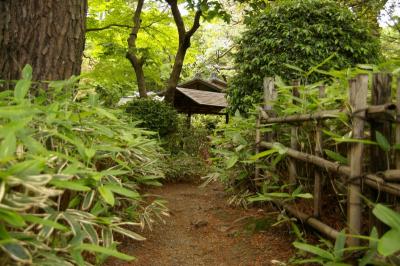 都立庭園美術館庭園散策