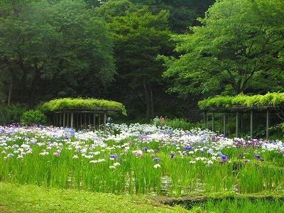 この印籠が目に入らぬか！