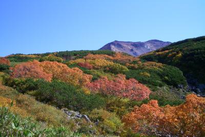 【北海道】きれいな紅葉に出会う旅（070921）