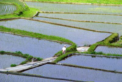 いざ！ヤマナシ