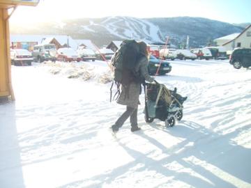 フィヨルドと犬ぞり