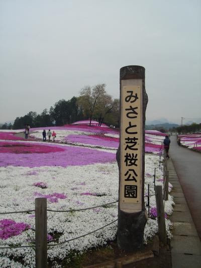 ちょっと寄り道～みさと芝桜公園～