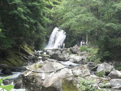 2008年　河津七滝　４つだけ～