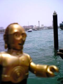 再びアラビアへ(オマーン前半)