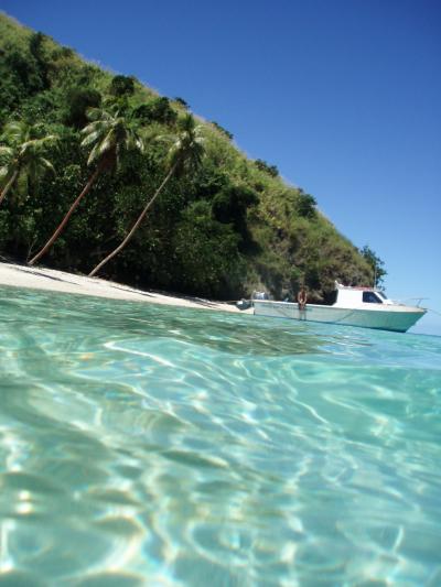 フィジーで最高の休日 Vol.3 ソフトコーラルの森でダイビング