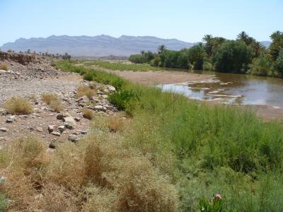 Morocco's contaminated river