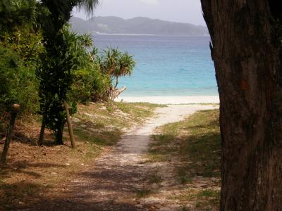 2008年6月初めての慶良間　その５　座間味島　＆　帰宅