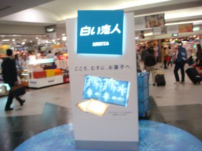 新千歳空港　出発階付近