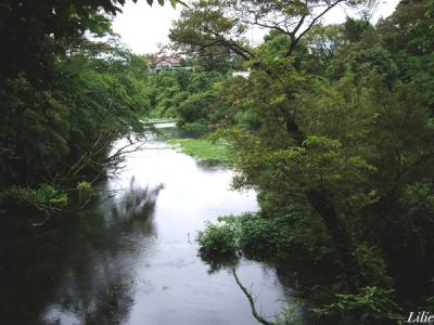 バスツアーで満喫♪静岡～山梨