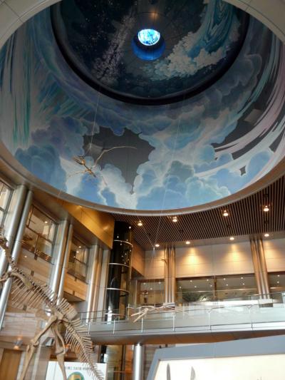 １．神奈川県立 生命の星・地球博物館　地球展示室