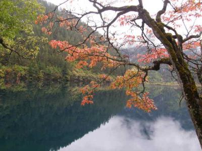 10月中旬四川省西北部の撮影紀行