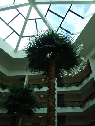 0歳4ヵ月の子連れグアム in Hilton タシクラブ~