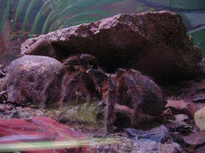 南米初上陸！ブラジルの旅?サンパウロ市内散策