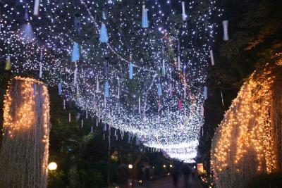 「時の栖」あじさい祭&銀河まつり～その４～