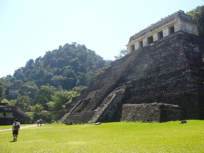 メキシコ・グアテマラ古代との出逢い?　緑のパレンケ