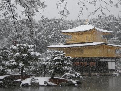 京都・奈良2泊3日旅行~京都編1~