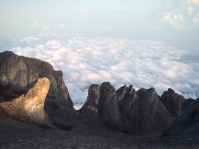 世界遺産☆Mt.Kinabalu☆☆4095.2ｍ