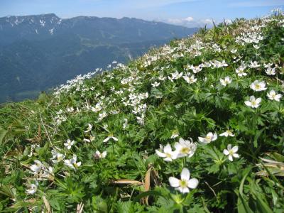 平標山