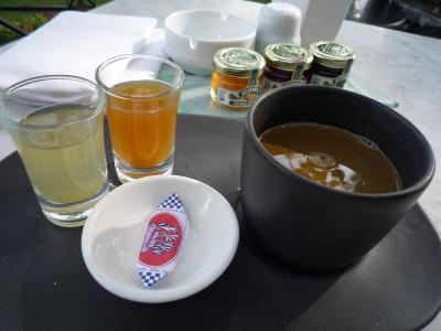 ジャムウ（JAMU)を飲んでみました