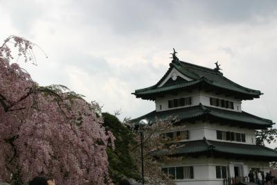 東北三大桜ツアー?　弘前城さくらまつり