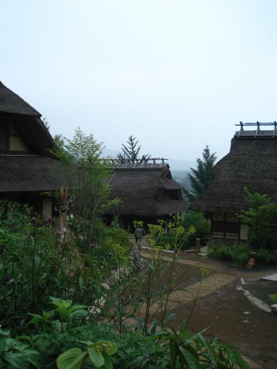 河口湖ハーブフェスティバルと富士を望む茅葺きの里