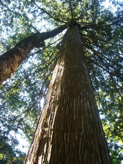 飛騨高山修学旅行記~2日目編~