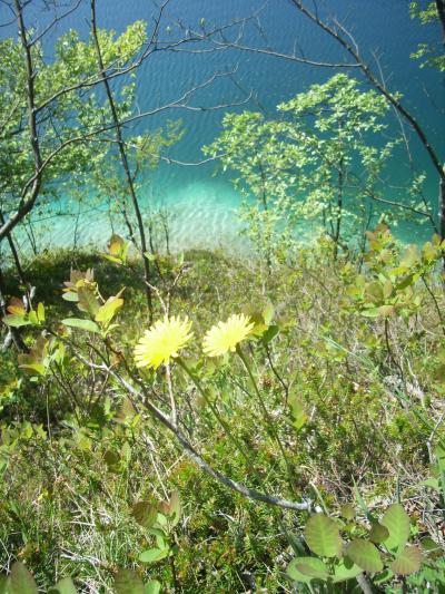 2007年GW スロヴェニア＆クロアチアの旅（4）プリトヴィッツェ湖群国立公園