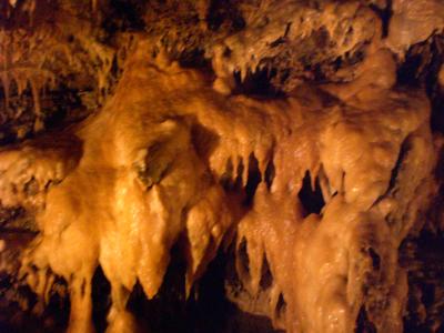 日帰りバス旅行