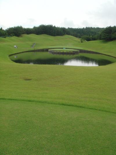 新陽CC・手ごわいコース・・・池には大きな金魚が！