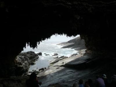 アデレート＆シドニーの旅その?～アデレードとカンガルー島