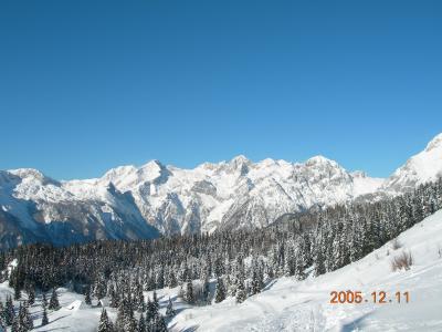 ルームメイトと行く、1泊2日のスキー旅行
