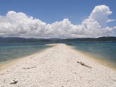 ２００８年７月八重山再会のたび　その３　鳩間島・バラス島シュノーケル