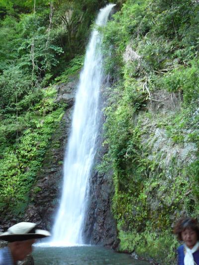 伊吹山雲上の花園散歩道日帰り：養老の滝