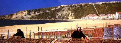 熟年夫婦の珍道中 Nazare / Portugal