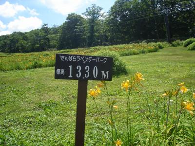 週末ドライブ～たんばらラベンダーパーク～