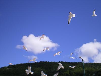 北欧の旅　ノルウェー編