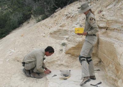 7000Kmドライブ一人旅「フォッシルビュート国定公園(Fossil Butte National Monument)」