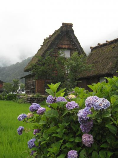 夏の家族旅行☆　世界遺産の白川郷へ！！