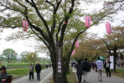 東北三大桜ツアー?　北上展勝地さくらまつり