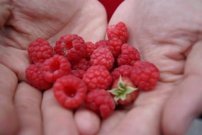 スウエーデン・ダーラナ、車でプチ旅行