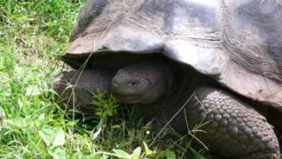 63ヵ国目 エクアドルの旅 ガラパゴス諸島 1日目