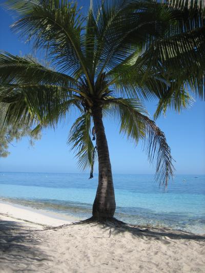 お手軽離島編@ニューカレドニア