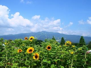 奥美濃で食べ歩き!