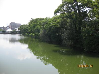 柳川の川くだり