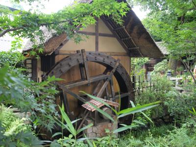 深大寺・神代植物園