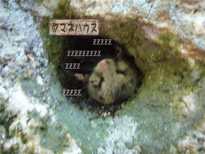 瑞牆山、静寂谷(しじまだに)