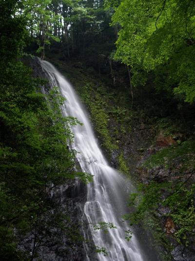 滝めぐりシリーズ７７　滝コミュオフ会　奈良県上北山村・下北山村の滝めぐり